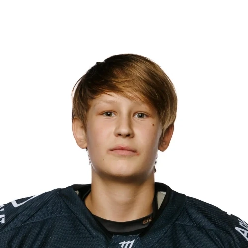 Telminov Vladislav Vladimirovich