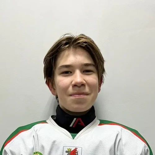 Fasahov Amil Aidarovich