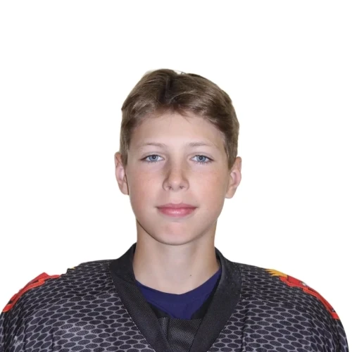 Shaidullaev Aleksei Sergeevich