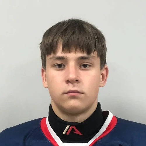 Omelchenko Danil Alekseevich