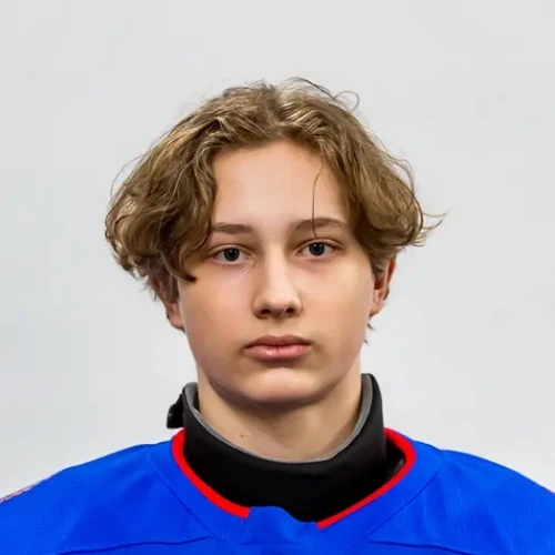 Tihonov Ilya Andreevich