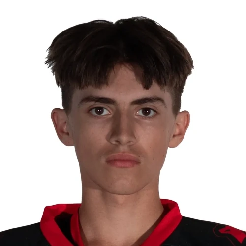 Nizhnikov Denis Dmitrievich