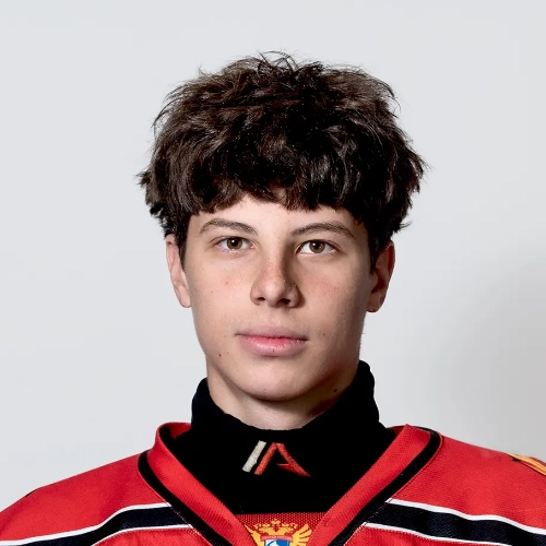 Grogulenko Daniil Vitalevich