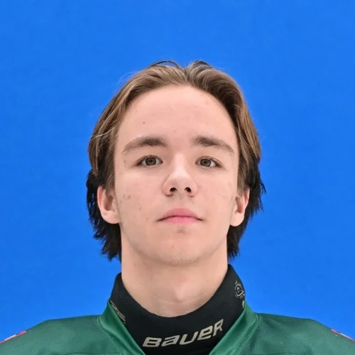 Siraziev Deniyar Irekovich