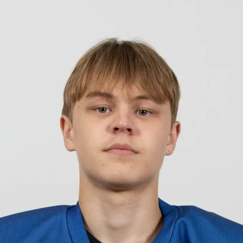 Mustafin Diniyar Ildarovich