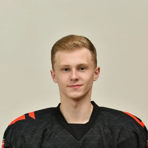 Krivtsov Denis Olegovich
