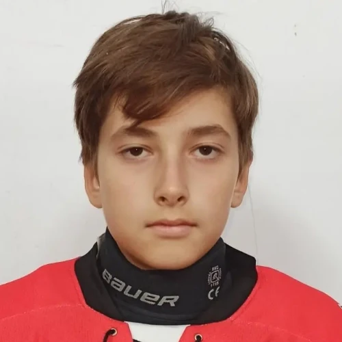 Tsygankov Andrei Spartakovich