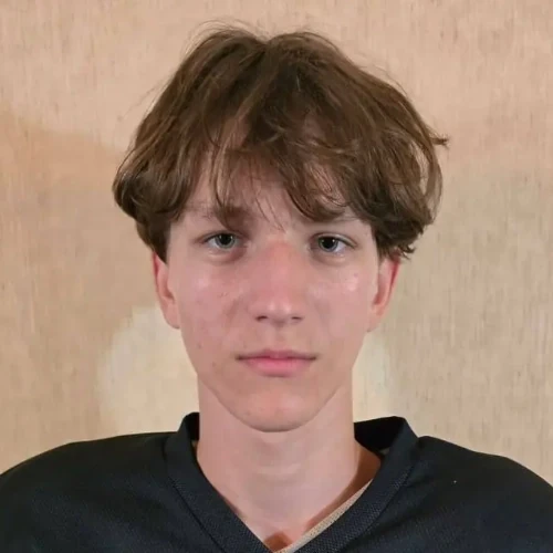 Gromov Danila Ivanovich