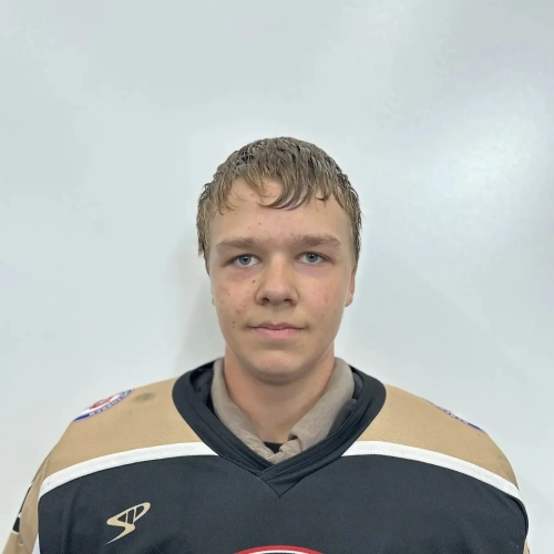 Sazonov Mihail Dmitrievich