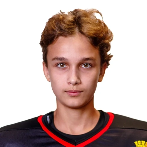 Sintsov Miron Kirillovich
