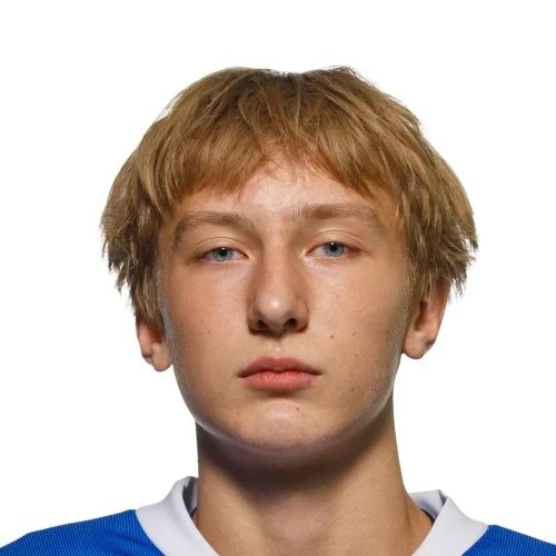 Dobryanskii Nikita Maksimovich