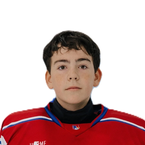 Bigaliev Danis Ruslanovich