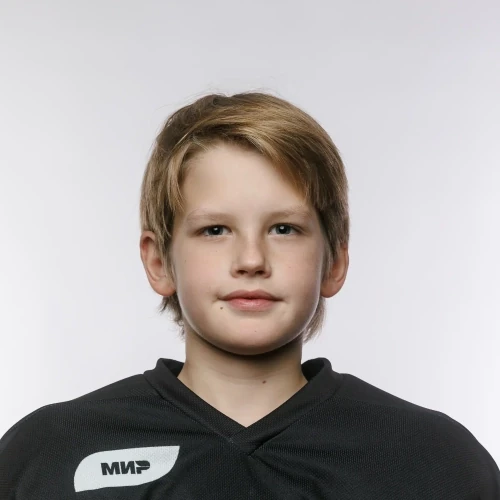 Vorobev Miron Nikitich