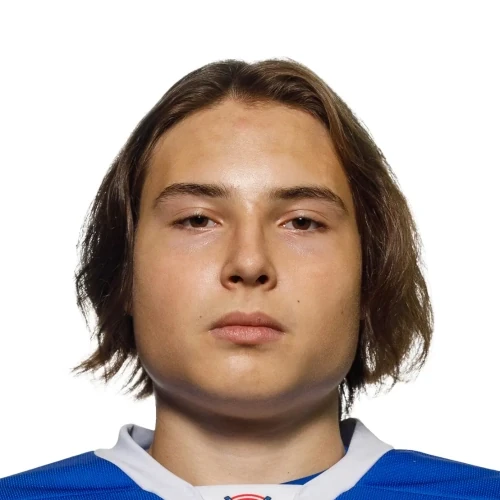 Freiman Dmitrii Andreevich