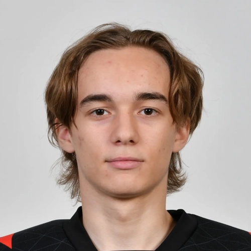Chaplak Dmitrii Vladimirovich