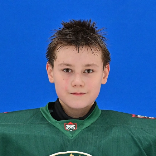 Potapov Nikas Aleksandrovich