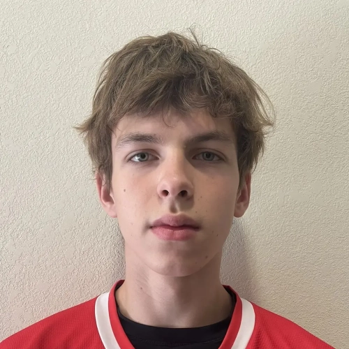 Timoshenko Egor Evgenevich