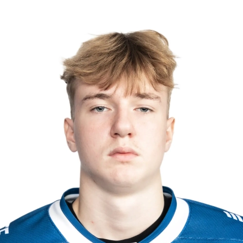 Dimchuk Daniil Vladimirovich