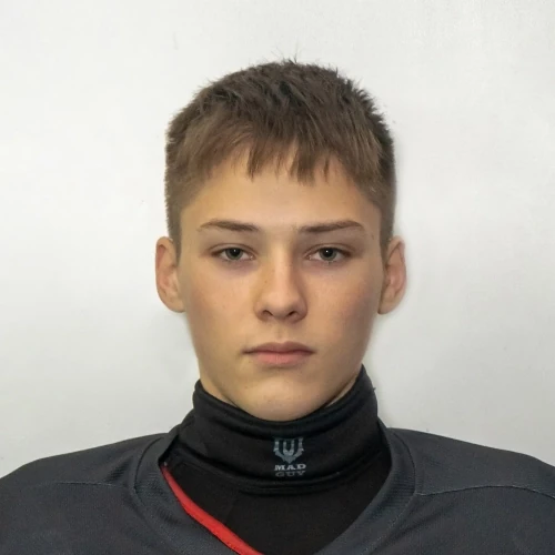 Vedenin Roman Dmitrievich