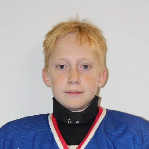 Ivanov Nikita Andreevich