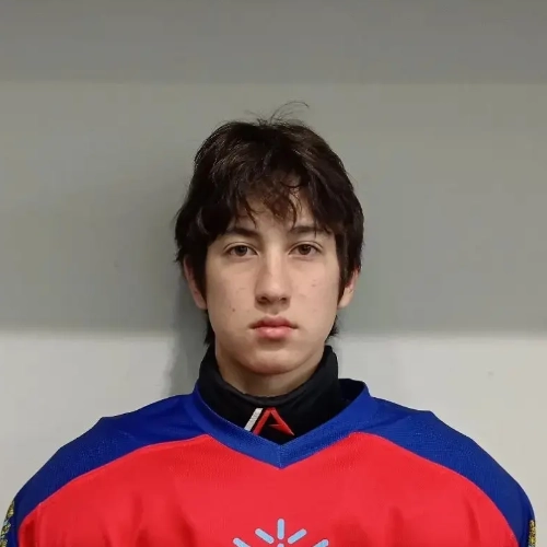 Tarasenko Egor Vladimirovich