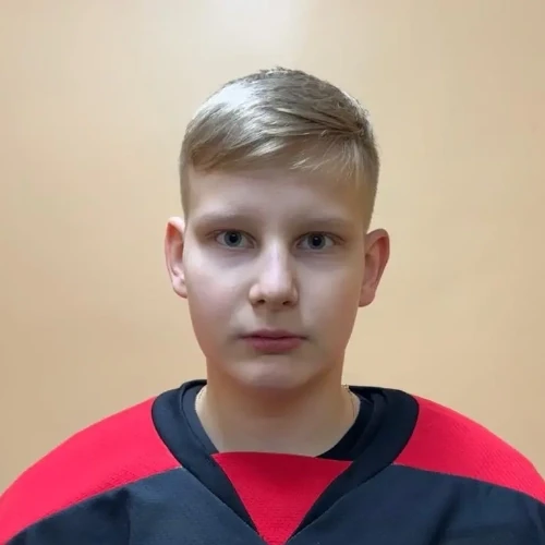 Saleev Dmitrii Aleksandrovich