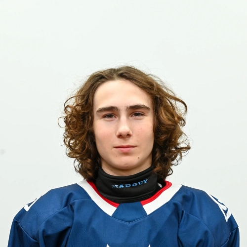 Shahtarev Danil Dmitrievich