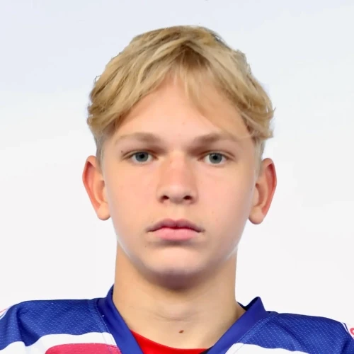Gerlovskii Nikita Alekseevich