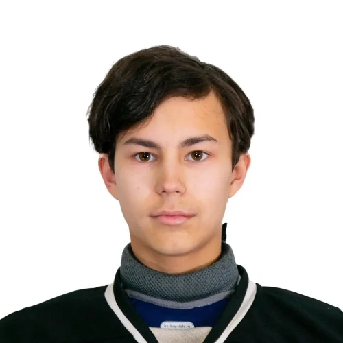Korneev Artem Yurevich