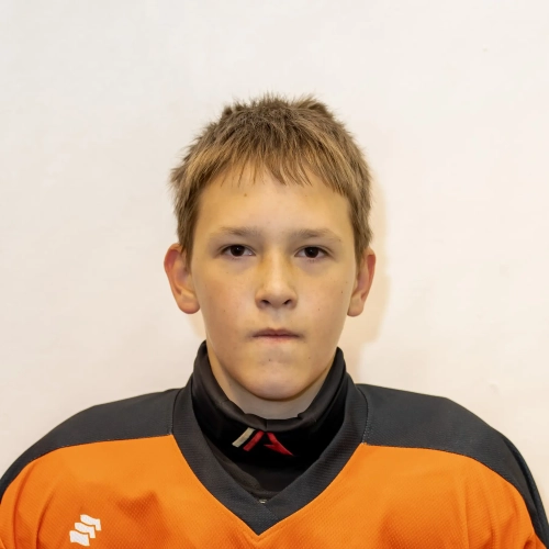 Shabaev Artem Evgenevich