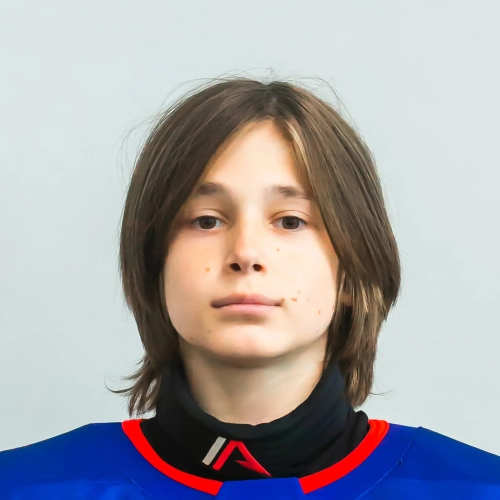 Safaryan Gleb Aramaisovich