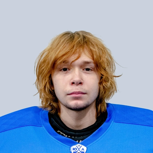 Postnyi Arsenii Dmitrievich