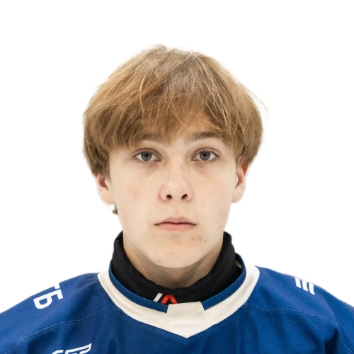 Guzhelovskii Egor Konstantinovich