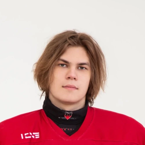Rodkin Denis Nikolaevich