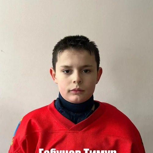 Gabunov Timur Fazylovich
