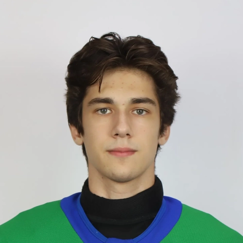 Rahimzyanov Artur Airatovich