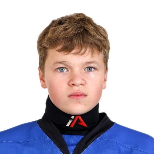 Domnin Mihail Anatolevich