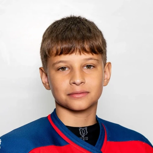 Byvshev Denis Igorevich