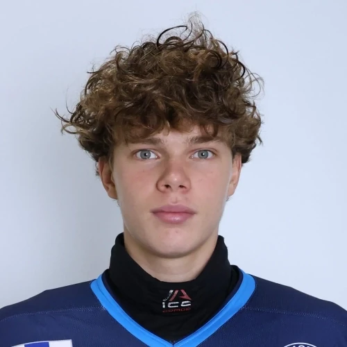 Garmatyuk Vladislav Denisovich