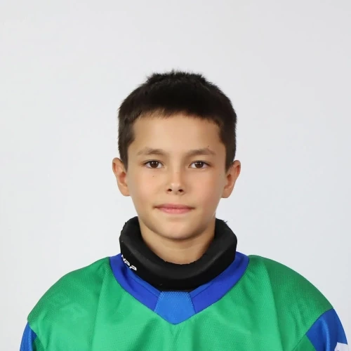 Salimgareev Artur Denisovich