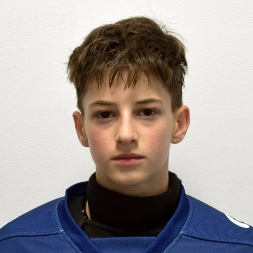 Tsarev Artemii Dmitrievich