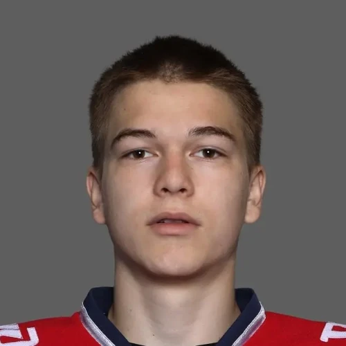 Mirgasov Timur Rafaelevich