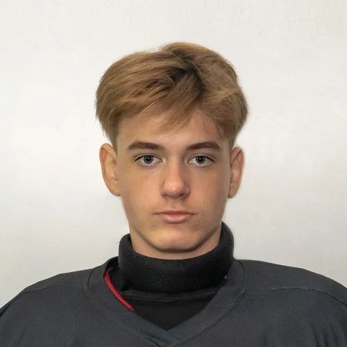 Tolokonnikov Artem Vitalevich