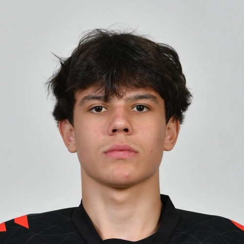 Glushkov Nikita Valerevich