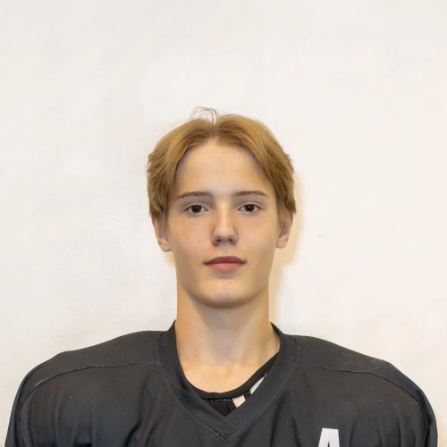 Gromov Ruslan Igorevich