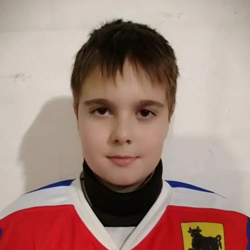 Shilin Artem Dmitrievich