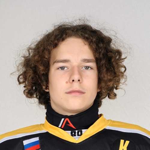Degtyarev Nikita Andreevich