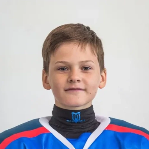 Ostrikov Aleksei Dmitrievich
