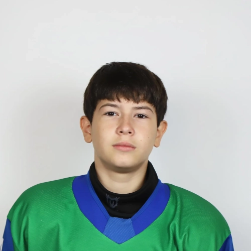 Maskov Daniyar Ilshatovich