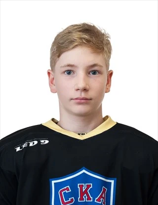 Plotnikov Andrei Viktorovich